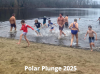 Flier for Polar Plunge